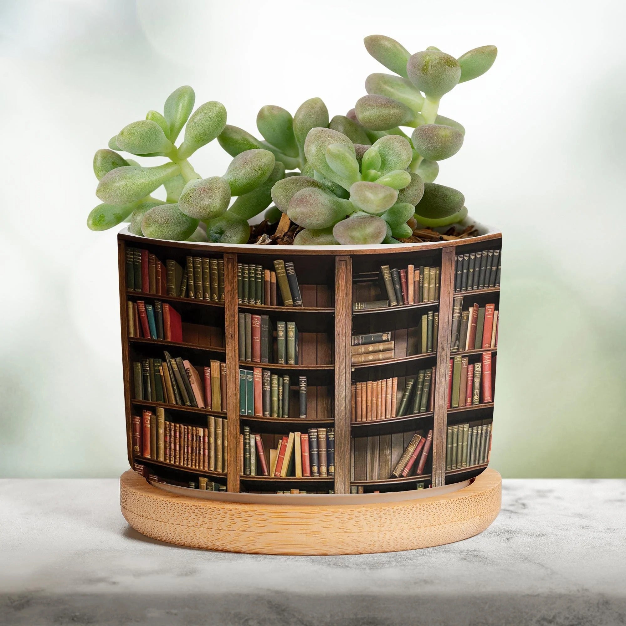 Plant Book Vintage Plant Pot, Ceramic Planter, Houseplant Pot